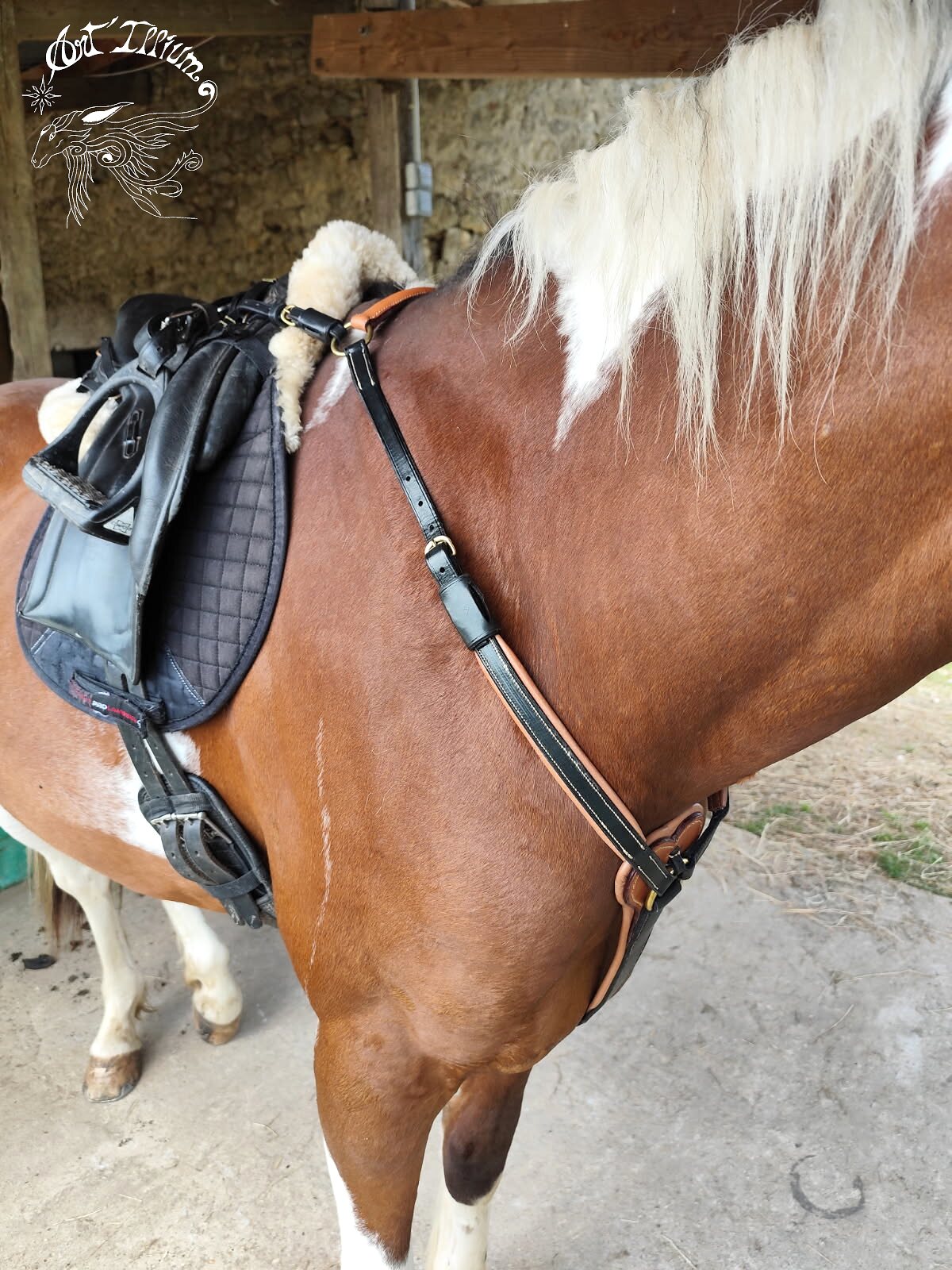 Cheval équipé d’un harnachement artisanal en cuir
